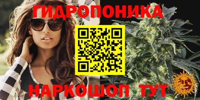 мяу мяу мука Бузулук