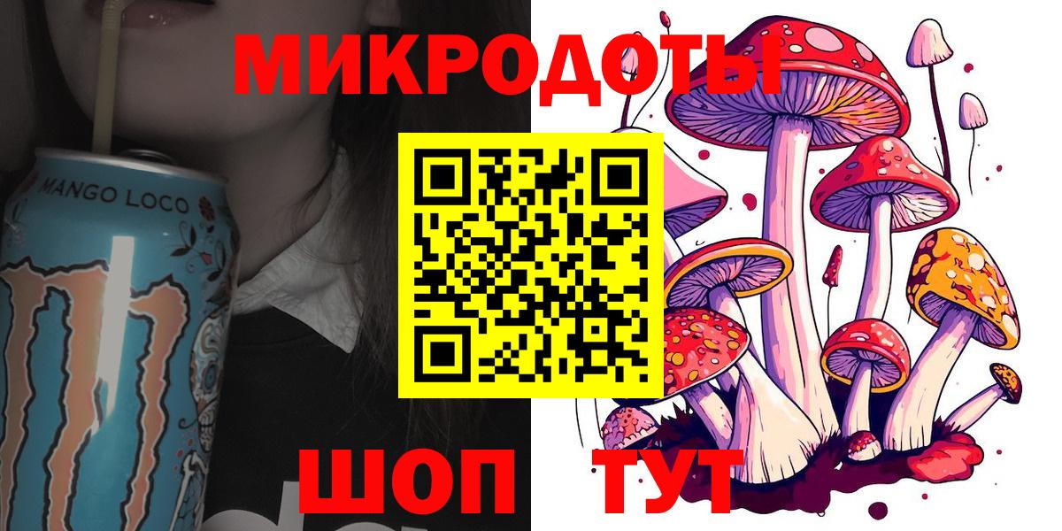 Псилоцибиновые грибы Psilocybine cubensis Новодвинск