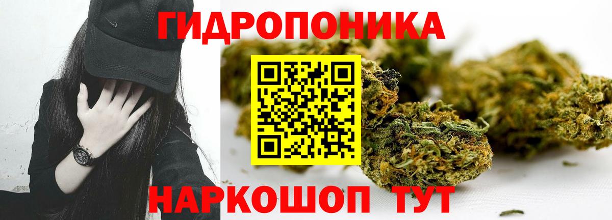 Бошки Шишки марихуана  Бошки марихуана SATIVA & INDICA  Конопля AK-47  Вход с VPN  Новодвинск  Бошки Шишки MAZAR 